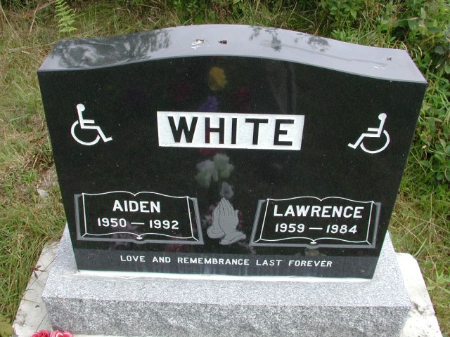 WHITE, Lawrence (1984) &amp; Aiden (1992) STM01-8284